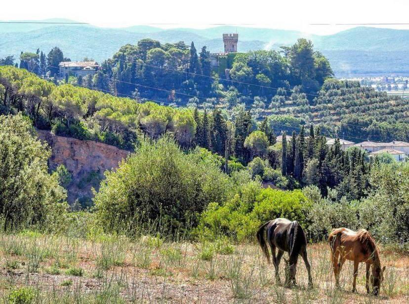 B&B Villa Il Poggetto 宛图里那 外观 照片