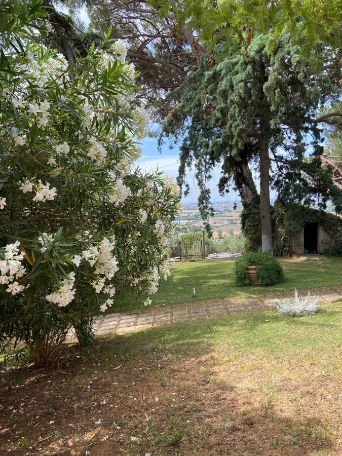 B&B Villa Il Poggetto 宛图里那 外观 照片