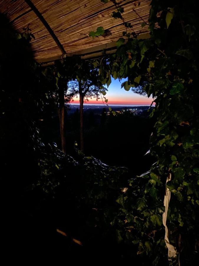 B&B Villa Il Poggetto 宛图里那 外观 照片