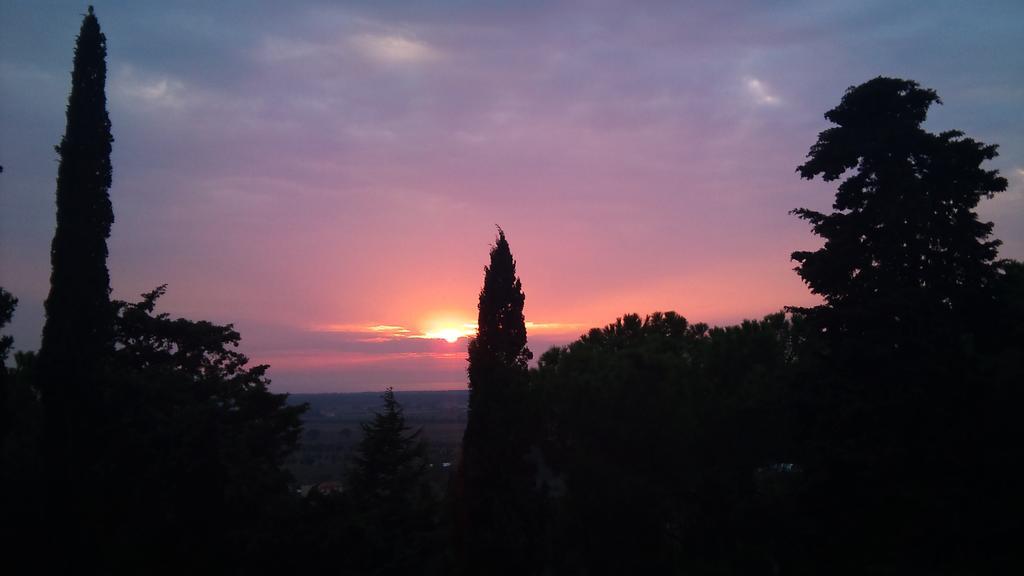B&B Villa Il Poggetto 宛图里那 外观 照片
