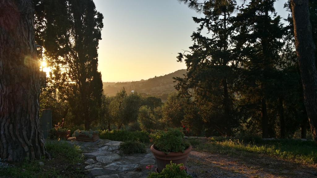B&B Villa Il Poggetto 宛图里那 外观 照片