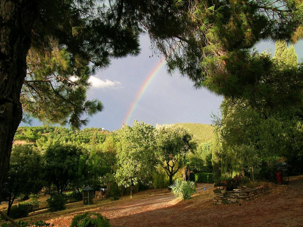 B&B Villa Il Poggetto 宛图里那 外观 照片